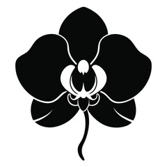 Fototapeta premium Orchid flower silhouette Black shadow of orchid Black shadow of orchid Vector On white background
