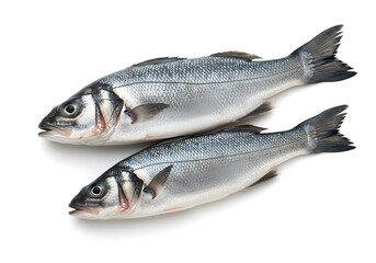Obraz premium A whole fresh sea bass with shiny silver skin, isolated on white, highlighting its pristine quality and suitability for gourmet seafood dishes.