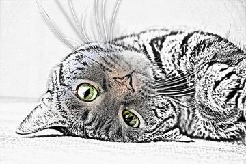 sketch of a cat rolls over the ground and give a cute pose