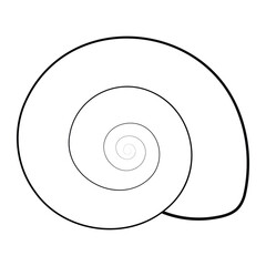 Snail shell vector illustration. Hand-drawn spiral seashell in doodle style. Black line art isolated on white background.
