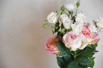 カラフルな薔薇