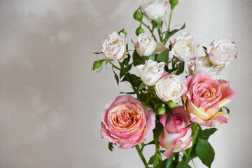 カラフルな薔薇