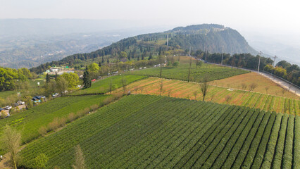 Fototapeta premium Aerial photography of tea plantations on high mountains