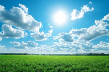 Obraz premium Expansive green field under a bright blue sky with fluffy white clouds during a sunny day