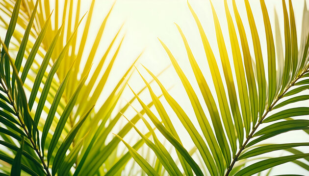 a leaf of a palm tree against a blue sky