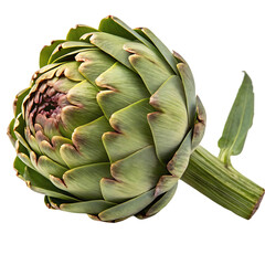 Fresh artichoke isolated on black background