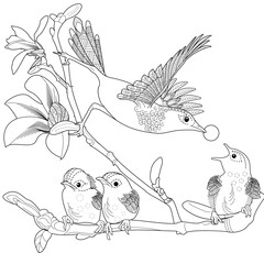 Art therapy coloring page. Coloring book antistress for children and adults. Birds and magnolia flowers. Ideal for those who want to feel more connected to nature.