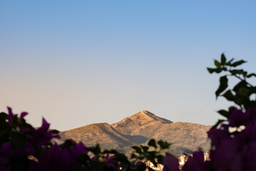 Panoramic view of a the white towns in the mountains on the coast of Malaga, Spain, Europe. The summer sky is clear and has sunset colors. There is a plant full of leaves in the foreground