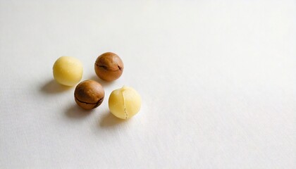 Close Up Photo of Macadamia Nut with a plain white background
