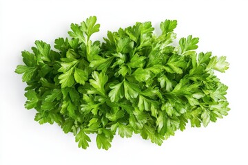 Fresh parsley arranged on white background for culinary use in home cooking and kitchen preparation
