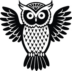 owl on white background