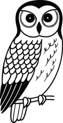 owl on white background