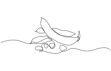 Fava beans continuous one line art drawing organic fava beans, One continuous line art drawing with lettering organic fava beans, pro vector illustration isolated on white background.