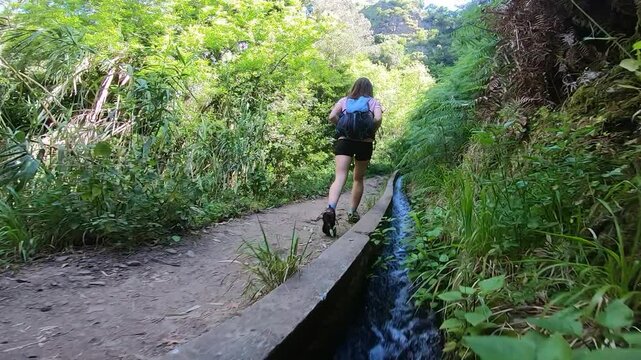 A solo explorer follows a historic levada channel, surrounded by lush foliage and framed by sunlight filtering through the towering trees.