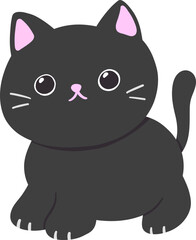 Black Cat 