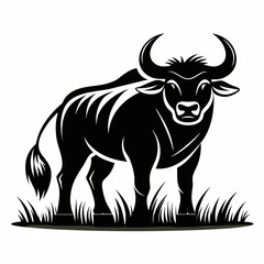 vector illustration of a cow