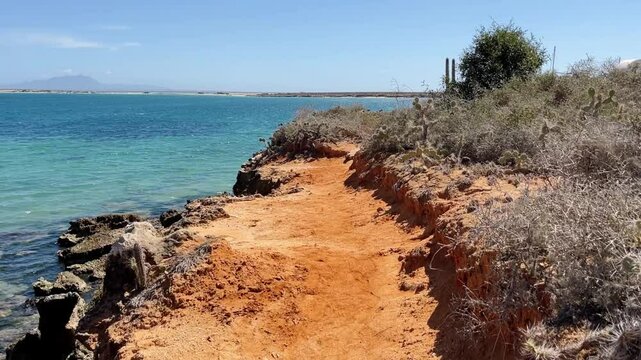 Tropical, exotic views and lots of cacti on the Venezuelan island of Cubagua