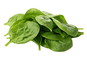 Obraz premium Organic Green Spinach