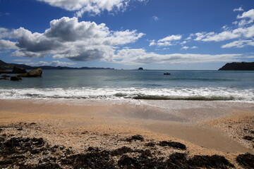 Cooks Beach is a town on a three-kilometre white-sand beach on the Coromandel Peninsula of New Zealand