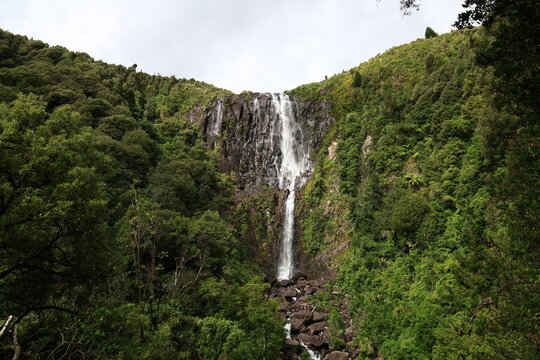Wairere Falls is the highest waterfall in New Zealand's North Island plunges 153 metres in two steps over the Kaimai escarpment