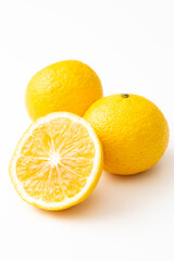 白背景に日向夏みかん