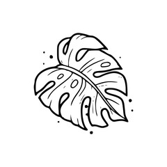 Fototapeta premium monstera leaf artwork