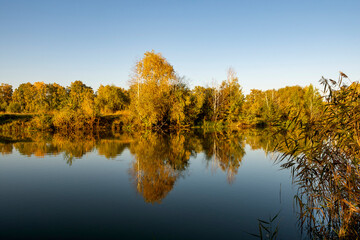 River landscape on a sunny autumn morning. The serenity and tranquility of an autumn morning on the banks of a narrow rural river.