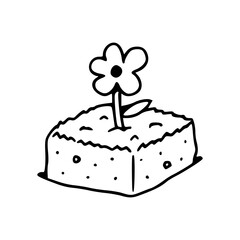 small plant in soil sketch