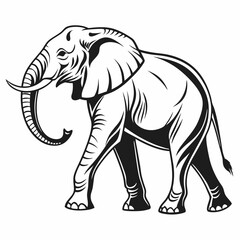 elegant elephant silhouette in black and white