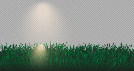 Grass border, vector, illustration. Vector image of grass, lawn. Grass and lawn in PNG format. Green grass with sunny, bright highlights.