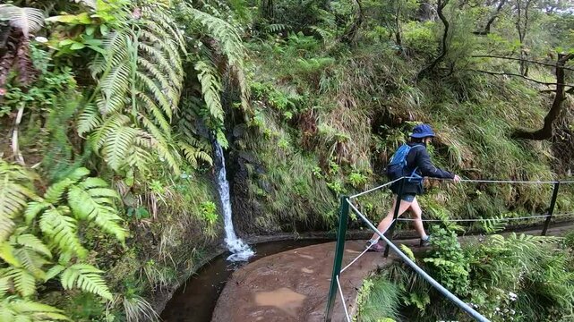 A traveler crosses a narrow levada bridge, carefully balancing above a rushing stream hidden within Madeira&rsquo;s wild jungle trails.