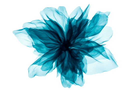 Flowing teal fabric creating an abstract flower shape