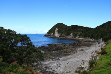 Smuggler's bay is located approximately 30 kilometres southeast of Whangārei city on the Whangārei Heads peninsula