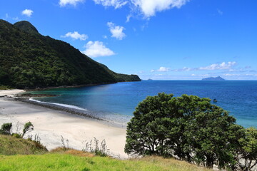 Smuggler's bay is located approximately 30 kilometres southeast of Whangārei city on the...