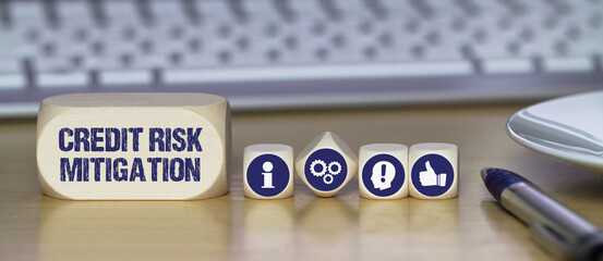Credit Risk Mitigation	
