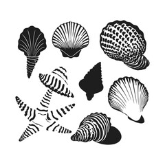 simple black and white vector illustration of a nautilus shell with a perfect spiral pattern on a white background.
