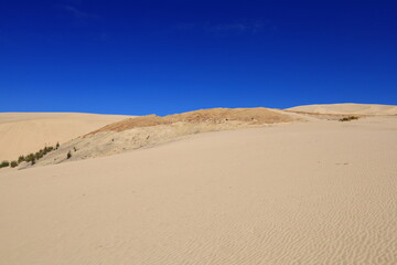 Te Paki Sand Dunes, also called the Giant Sand Dunes, are a collection of sand dunes located on the Northland Peninsula of New Zealand