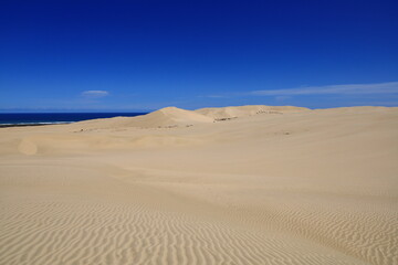 Te Paki Sand Dunes, also called the Giant Sand Dunes, are a collection of sand dunes located on the Northland Peninsula of New Zealand