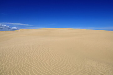 Te Paki Sand Dunes, also called the Giant Sand Dunes, are a collection of sand dunes located on the Northland Peninsula of New Zealand