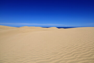 Te Paki Sand Dunes, also called the Giant Sand Dunes, are a collection of sand dunes located on the Northland Peninsula of New Zealand