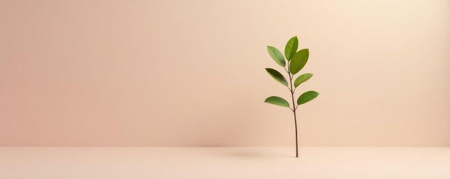 Low-key photography of a single stem with leaves on a minimalist background, plant life, plant stem, branchy