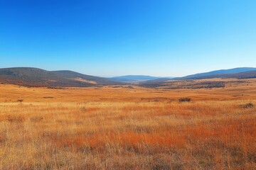 Vast golden fields stretch under a clear blue sky in a tranquil landscape