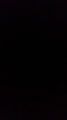 Noir ultime profond black