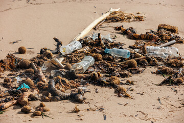 Plastic waste and seaweed scattered across sandy shoreline, revealing devastating marine pollution...