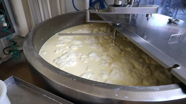 Closeup shot of the process of separating curds from whey during making cheese in a cheese factory