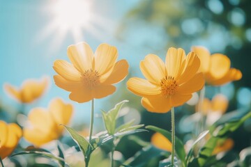 Bright yellow flowers bloom under the sun in a vibrant garden setting during springtime