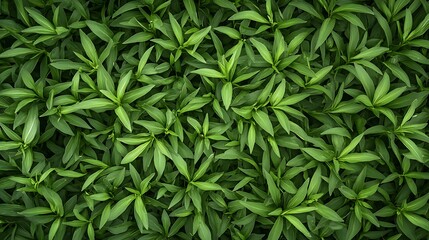 Vibrant Green Foliage: A Lush Summer Garden Texture AI Generated