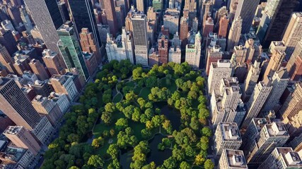 Aerial video view of a vibrant cityscape with lush green park in the foreground, showcasing a dynamic blend of nature and urban architecture.