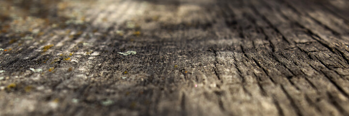 Old wooden surface covered with lichen for background.