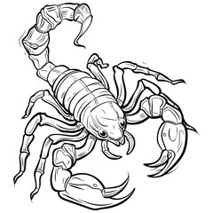 Detailed Scorpion Line Art Illustration